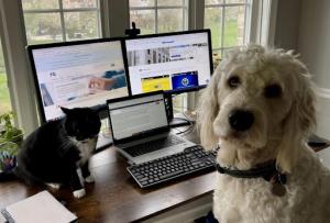 Tux and Cooper enjoy hearing the latest news on FAI.gov.